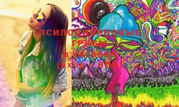 шишки Нефтегорск