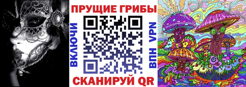 Псилоцибиновые грибы MAGIC MUSHROOMS  наркота  Сергач 